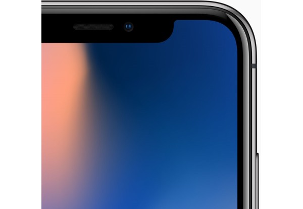 Apple iPhone X 64GB Space Gray (MQAC2) [OPEN BOX] - ТвойGadget