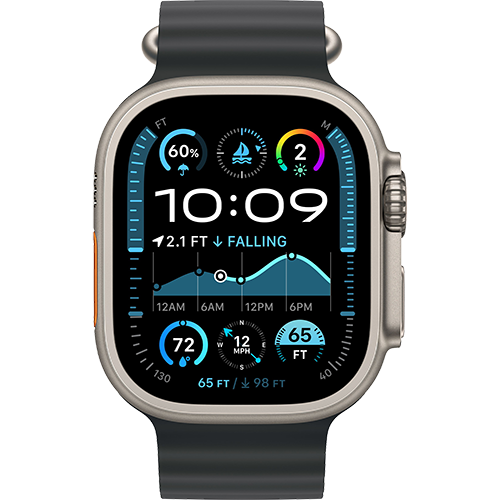 Apple Watch Ultra 2 GPS + Cellular 49mm Natural Titan. Case w. Black Ocean Band (MXTL3) - ТвойGadget