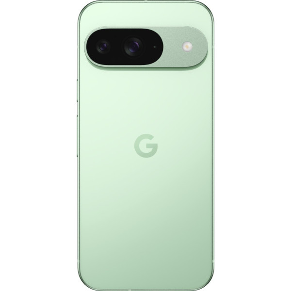 Смартфон Google Pixel 9 12/256GB Wintergreen - ТвойGadget